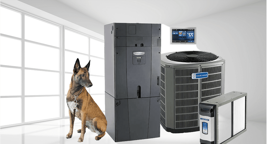 Carrier Factory Authorized Dealer